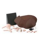Gynecologic Skills Trainer, Dark Skin